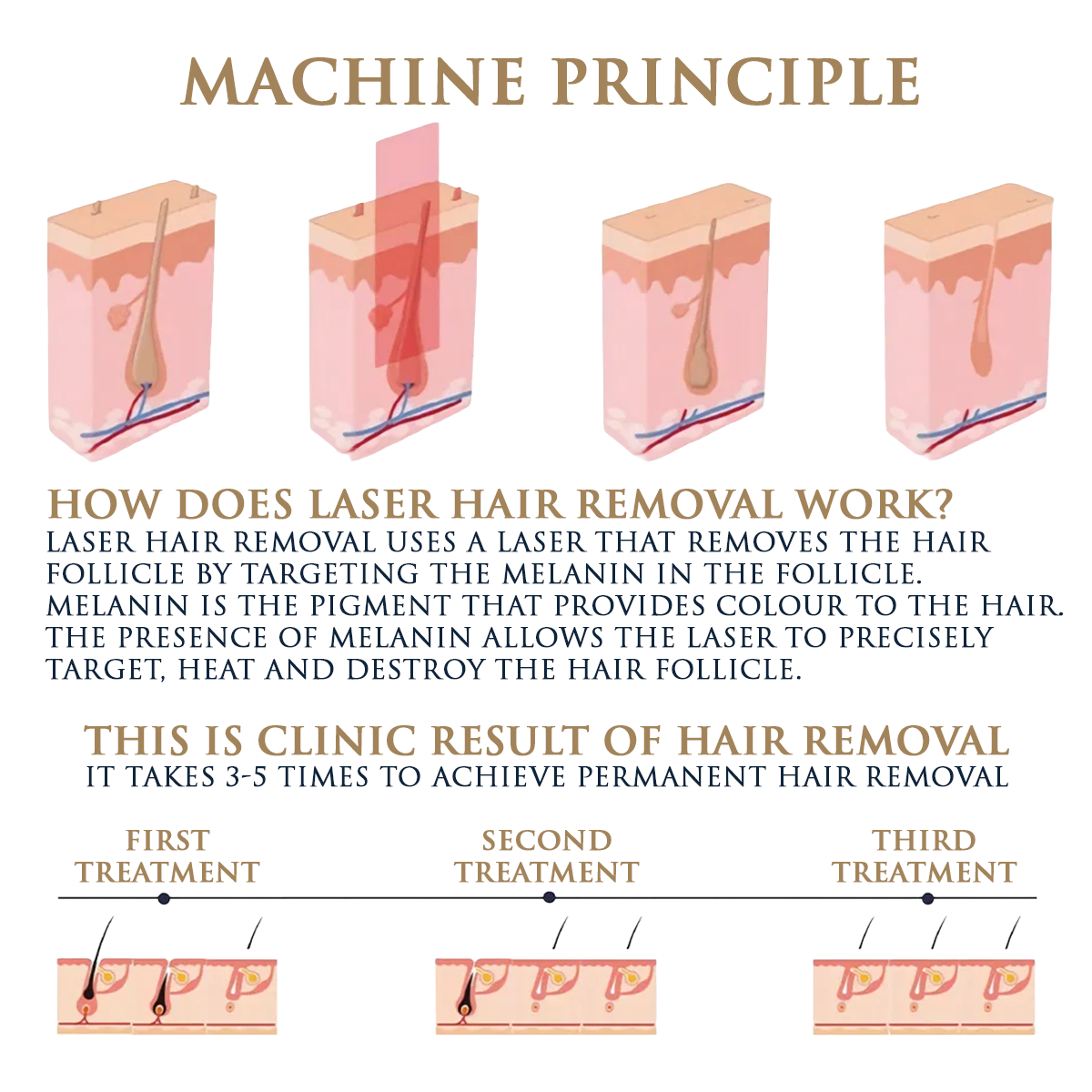 Skin Monarch Quantum Pro Diode & Picosecond Laser