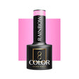 OCHO NAILS Hybrid nail polish rainbow R05 -5 g - BVShop