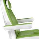 Electrical cosmetic chair Mazaro BR-6672A Green - BVShop