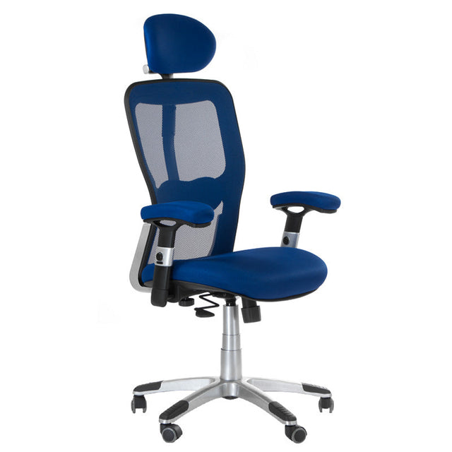 Ergonomic Chair CorpoComfort BX-4147 Blue - BVShop