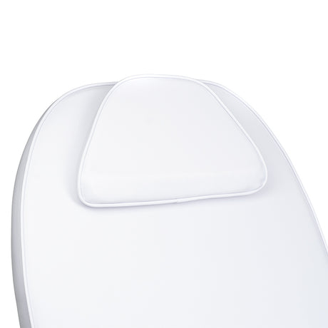 Luxurious cosmetic bed for massage BD-8241 Pine - BVShop