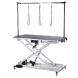 Electrical Grooming Table XL BP-305 White - BVShop