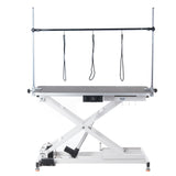 Electrical Grooming Table XL BP-305 White - BVShop