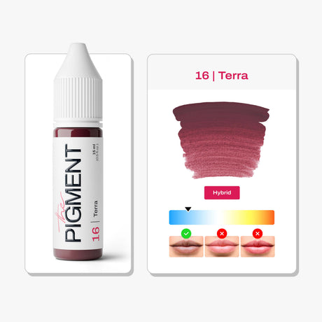 The Pigment 16 Terra lip pigment main image for earthy PMU lips