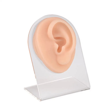 Ear Piercing Silicone Model - BVShop