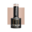 OCHO NAILS Hybrid nail polish brown 801 -5 g - BVShop