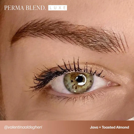 Perma Blend LUXE Brow Chicka Wow Wow Set - BVShop