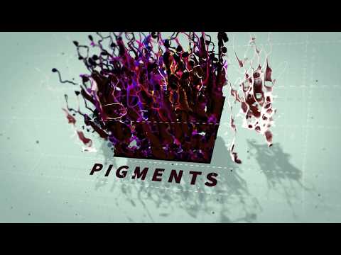 Li Pigments Velvet Crème Latte Pigments 15ml