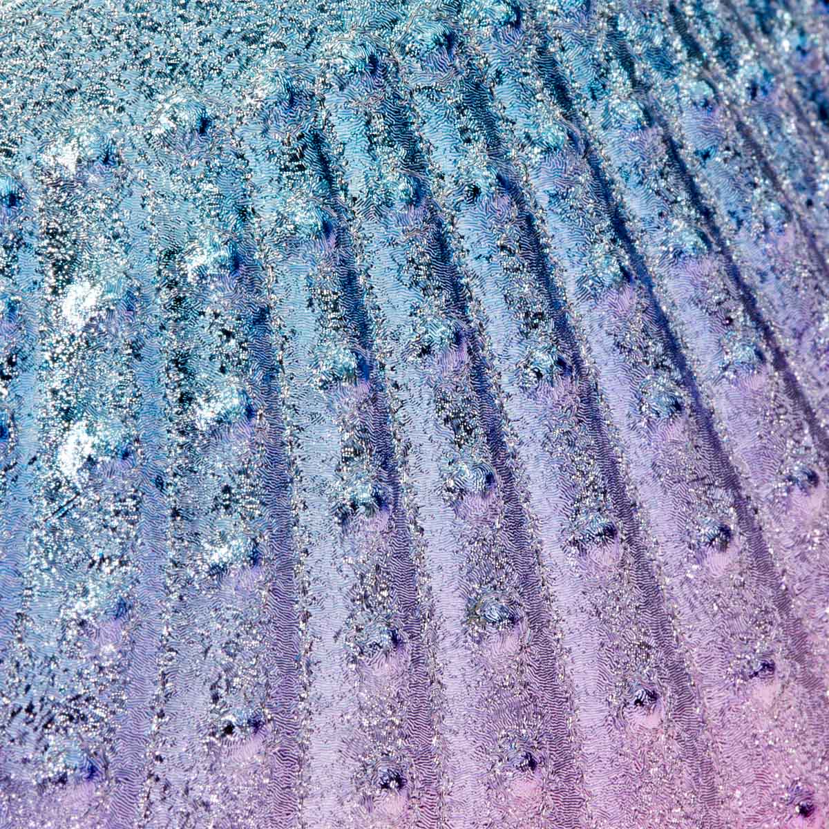 Shell-shaped dusting brush - BVShop