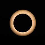 SNAKE RING LED LAMP LAMP ON A DESK BLACK - BVShop