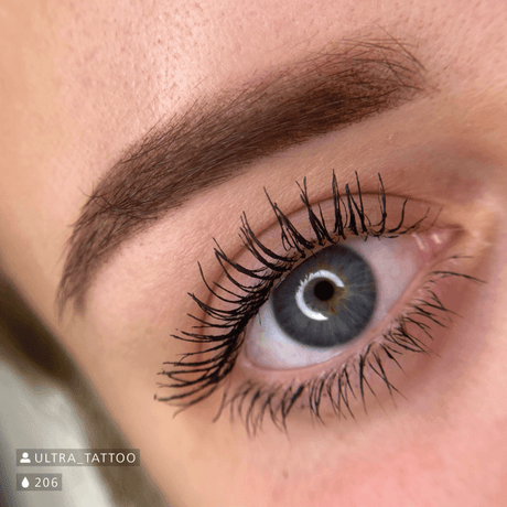 Swiss Color 206 Cocoa Brown Eyebrow Pigment - BVShop