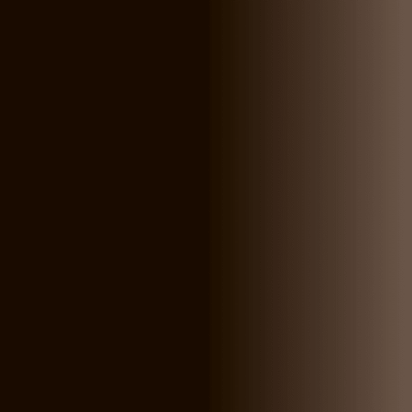 Swiss Color 207 Ebony Brown Eyebrow Pigment - BVShop