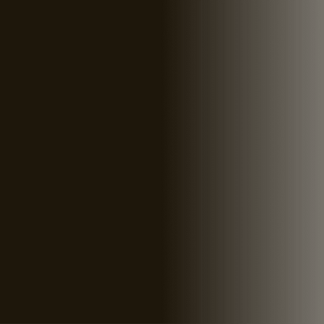 Swiss Color 716 Midnight Brown Eyebrow Pigment - BVShop