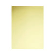 Thick Big Size Practice Skin - BVShop